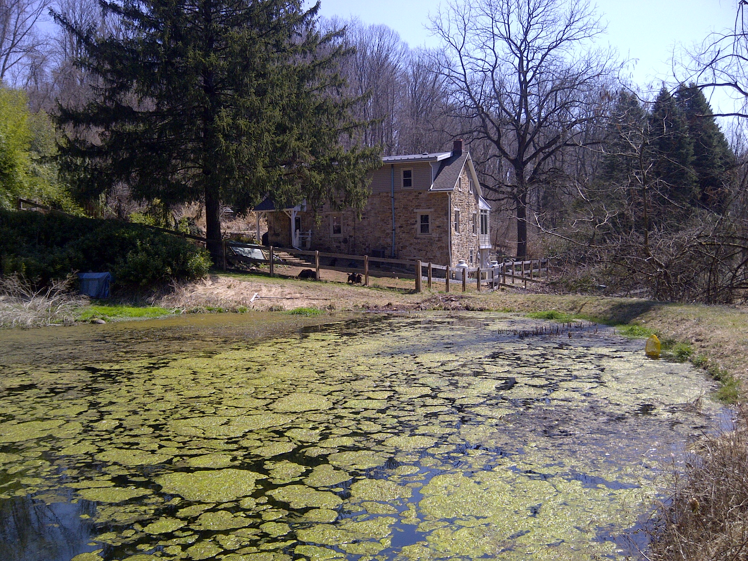 Pond to Cottage